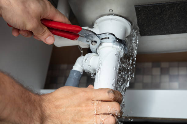 Best Mold removal after water damage  in Geronimo, OK