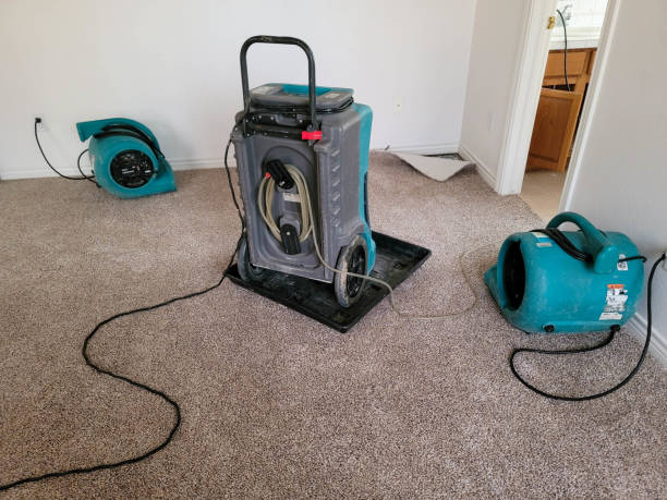 Best 24/7 water damage repair  in Geronimo, OK
