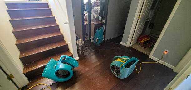 Best Sewage cleanup and water damage restoration  in Geronimo, OK