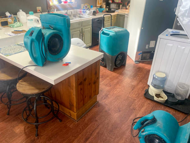 Professional Water damage restoration in Geronimo, OK