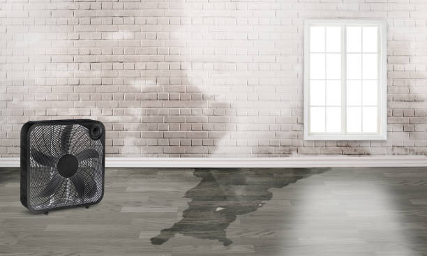 Best Carpet water damage restoration  in Geronimo, OK