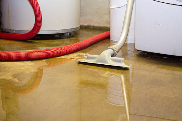 Best Basement water damage restoration  in Geronimo, OK