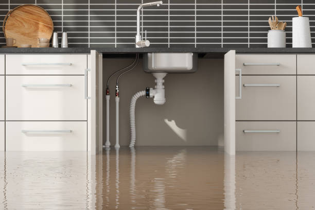 Best Water damage contractors near me  in Geronimo, OK