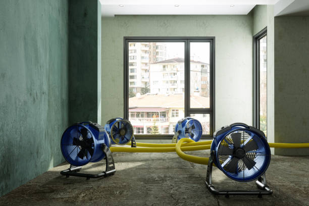 Best Professional water damage repair  in Geronimo, OK