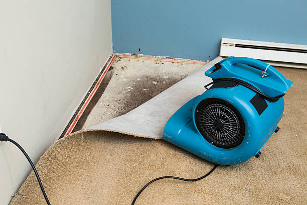 Best Water damage restoration near me  in Geronimo, OK